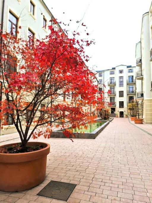 Gold City Point Piotrkowska 37 우치 외부 사진